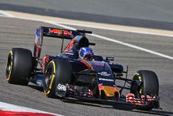 Max Verstappen, Scuderia Toro Rosso STR11