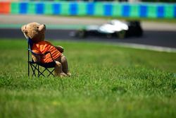 Ein Teddybär verfolgt das Rennen der Formel 1 am Hungaroring