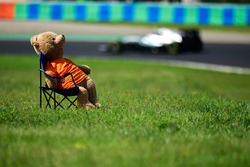 Nico Rosberg, Mercedes AMG F1 W07 Hybrid passe un ours en peluche