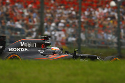 Fernando Alonso, McLaren MP4-31
