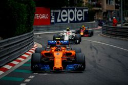 Stoffel Vandoorne, McLaren MCL33