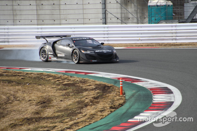 Modulo Drago CORSE NSX GT3(道上龍)