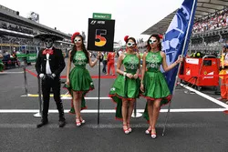 Des Grid Girls