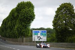 #32 United Autosports Ligier JS P217 Gibson: Will Owen, Hugo De Sadeleer, Filipe Albuquerque