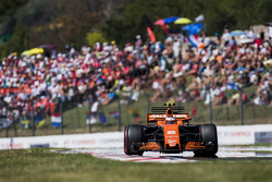 Стоффель Вандорн, McLaren MCL32