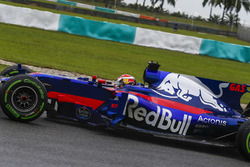Pierre Gasly, Scuderia Toro Rosso STR12