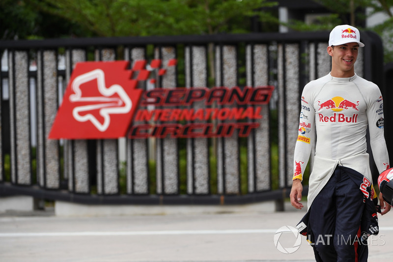 Pierre Gasly, Scuderia Toro Rosso