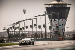 #72 Antonelli Motorsports: Marco Antonelli, Davide Roda