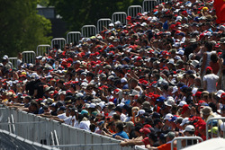 Tribunes