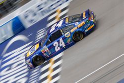 Chase Elliott, Hendrick Motorsports Chevrolet