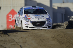 Dario Baruchelli, Peugeot 208 R2B