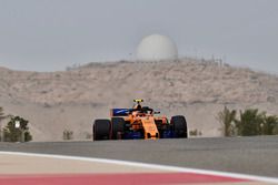 Stoffel Vandoorne, McLaren MCL33