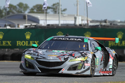#86 Michael Shank Racing Acura NSX, GTD: Katherine Legge, Alvaro Parente, Trent Hindman, A.J. Allmendinger