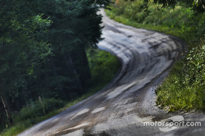 Rally Finland roads