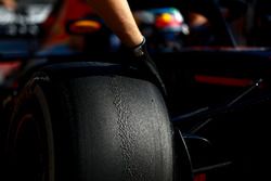 Шина Pirelli