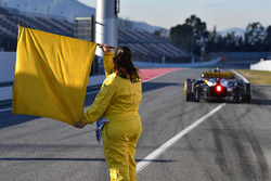 Yellow flag