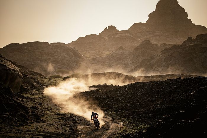 #73 Red Bull KTM Factory Racing KTM: Edgar Canet