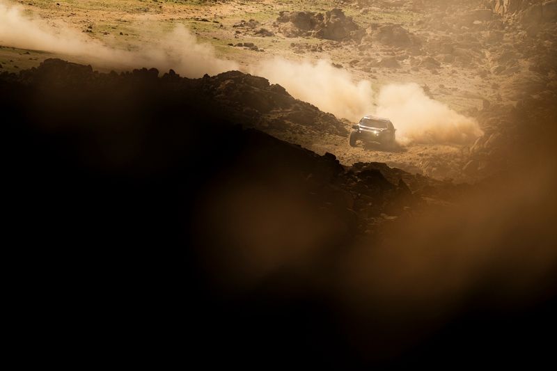 #219 I Dacia Sandriders Dacia: Sebastien Loeb, Edouard Boulanger