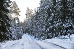 Winter: Verschneite Pisten bei der Rallye Schweden