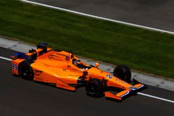 Fernando Alonso, Andretti Autosport, Honda