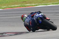 Maverick Viñales, Yamaha Factory Racing