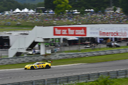#3 Corvette Racing Chevrolet Corvette C7.R: Antonio Garcia, Jan Magnussen