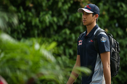 Шон Гелаэль, Scuderia Toro Rosso