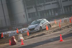 Luca Bottarelli, Peugeot 208