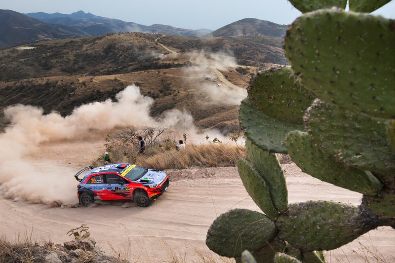 Nicolay Gryazin, Yaroslav Fedorov, Hyundai Motorsport Hyundai i20 R5