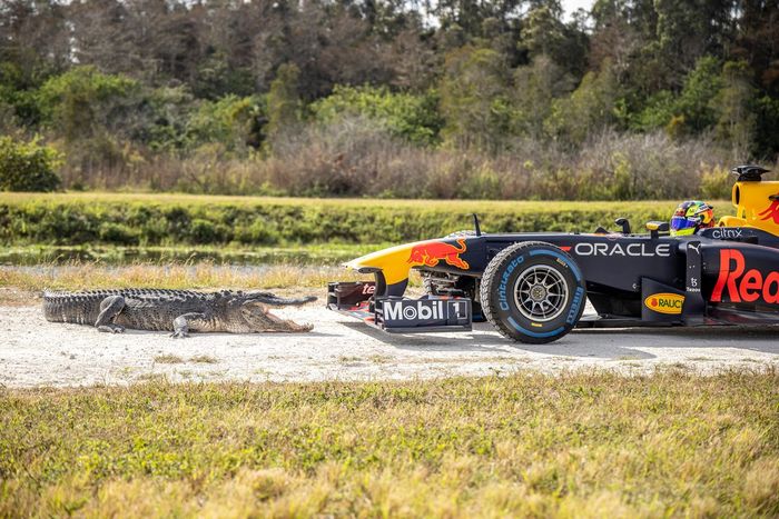Red Bull Racing RB7 in Florida