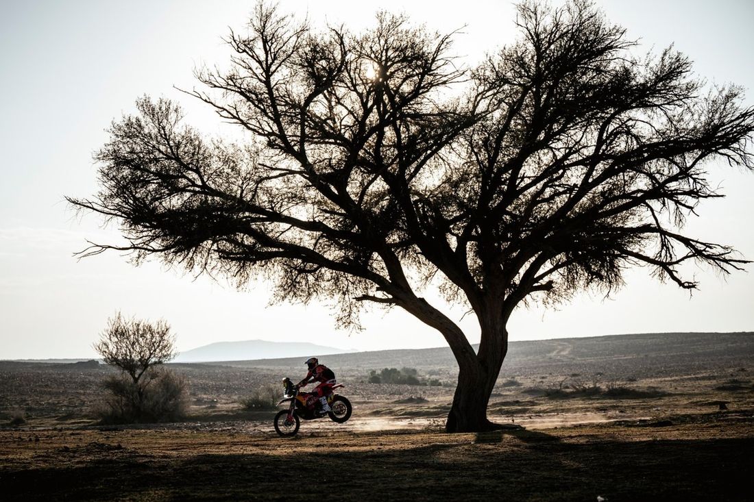 #4 Red Bull KTM Factory Racing KTM: Daniel Sanders