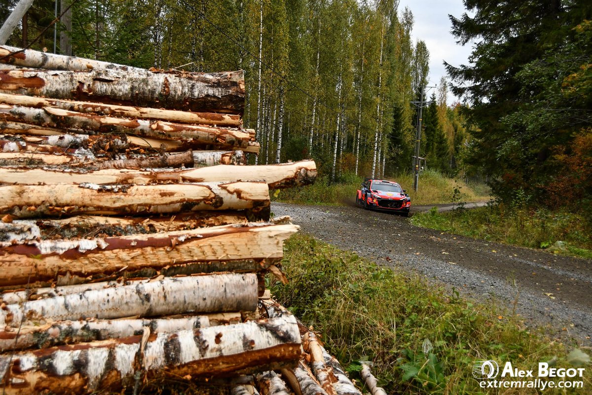 Thierry Neuville, Martijn Wydaeghe, Hyundai i20 Coupe WRC