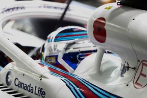 Un coquelicot sur la prise d'air de Sergey Sirotkin, Williams Racing