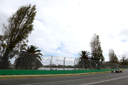 Max Verstappen, Scuderia Toro Rosso STR11