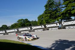 #5 Action Express Racing Corvette DP: Joao Barbosa, Christian Fittipaldi