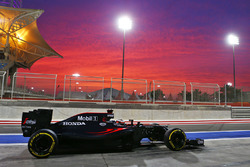 Stoffel Vandoorne, McLaren MP4-31