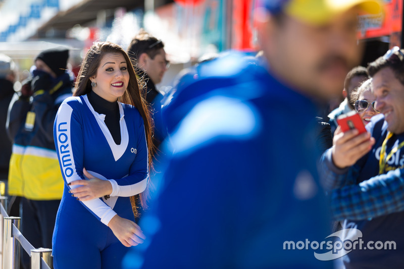 Grid Girls de Cascavel