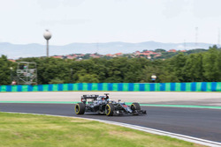 Fernando Alonso, McLaren MP4-31