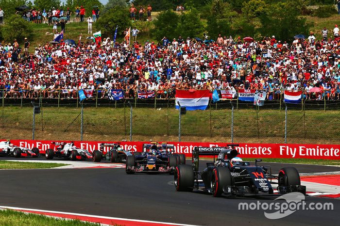 Fernando Alonso, McLaren MP4-31
