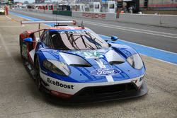 #67 Ford Chip Ganassi Racing Ford GT: Marino Franchitti, Andy Priaulx, Harry Tincknell
