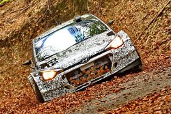 Kevin Abbring, Seb Marshall, Hyundai i20 R5 WRC, Hyundai Motorsport