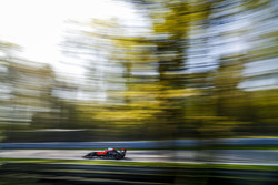 Frank Bird, Tech 1 Racing