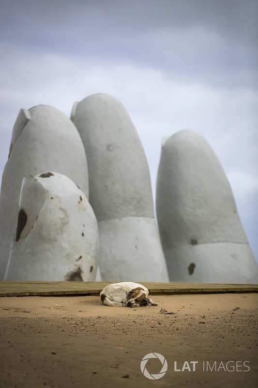 Un perro callejero duerme frente a la escultura La Mano