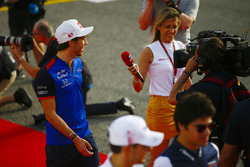 Пьер Гасли, Scuderia Toro Rosso