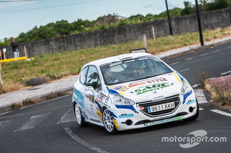 Daniel Castro-Andrea Lamas(Peugeot 208 vti)