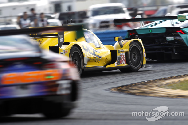 #85 JDC/Miller Motorsports ORECA 07: Misha Goikhberg, Chris Miller, Stephen Simpson, Mathias Beche