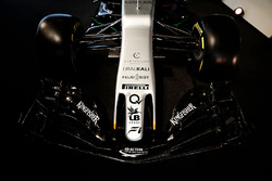 Sahara Force India F1 VJM10 front wing