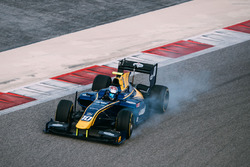 Nicholas Latifi, DAMS