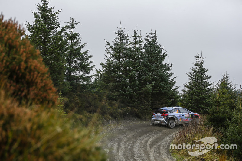 Thierry Neuville, Nicolas Gilsoul, Hyundai i20 WRC, Hyundai Motorsport