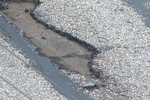 Track problem